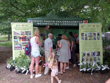 Piknikowo i sportowo z Województwem Łódzkim w Uniejowie, 